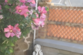 Statue l'Enfant rêveur assis sur un rocher