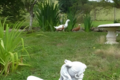 Statue de jardin Fillette Lisant un livre 