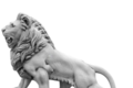 Lion debout regard à gauche