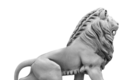 Lion debout regard à gauche