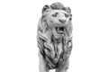 Lion debout regard à gauche