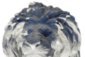Tête de lion fontaine murale