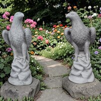 Aigles sur Rocher la paire